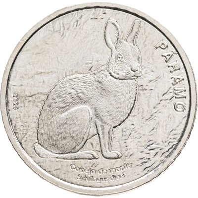 купить Коста-Рика 50 колонов 2023 (2026) Парамо. Горный кролик