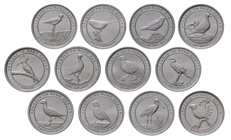 купить Турция набор монет 2020 "Анталийские птицы" (12 штук)