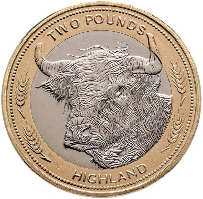 купить Джерси 2 фунта 2024 "Корова породы хайленд (highland cow)"