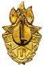 Купить Значок  Всегда Готов II  степени СССР (Разновидность случайная )