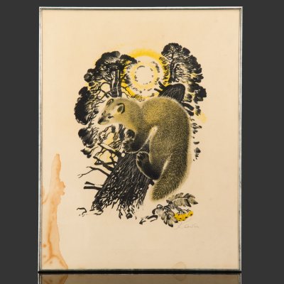 купить Автолитография "Соболь" в застекленной раме, художник Капустина Т.П., бумага, печать, металл, стекло, СССР, 1972 г.