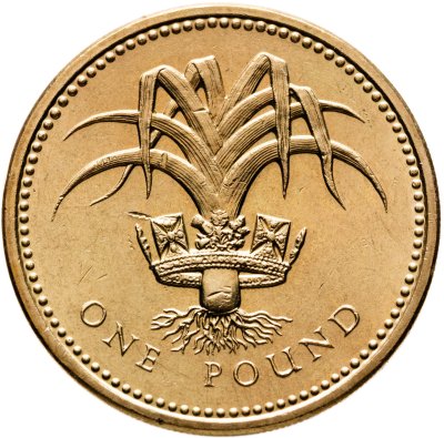 купить Великобритания 1 фунт (pound) 1985