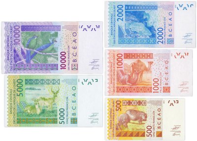 купить Западноафриканские штаты набор из 5 банкнот 500-1000-2000-5000-10000 франков 2024
