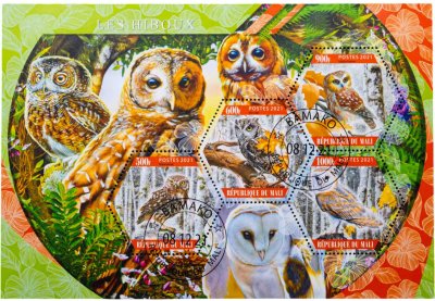 купить Мали марки квартблок "Фауна. Птицы. Совы" 2021