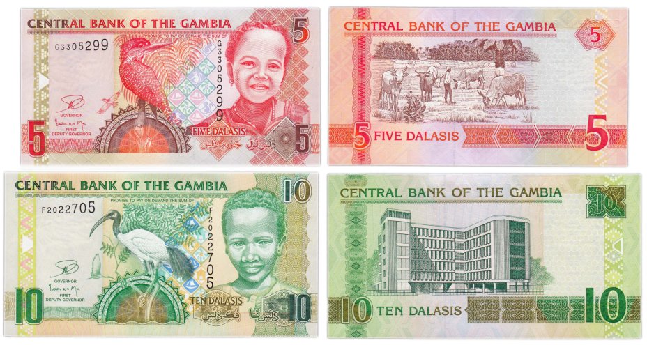 Купюры 2013. Гамбия 10 даласи 2013. Гамбия 10 даласи 2015 года. Гамбия 5 даласи 2013. Деньги Гамбии.