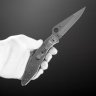 Купить Складной нож Spyderco Police (C10S), сталь VG-10, рукоять сталь
