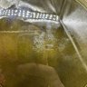 Купить Набор из десертной тарелки и 2 блюдец в зеленом оттенке, фаянс, Конаковский фаянсовый завод им. М.И. Калинина (ЗиК Конаково), СССР, 1962-1991 гг.