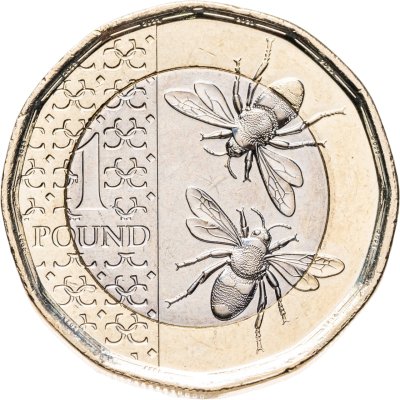 купить Великобритания 1 фунт 2023 "Пчелы"
