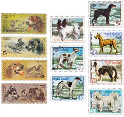 купить Марки набор из 11 марок "Фауна. Собаки"