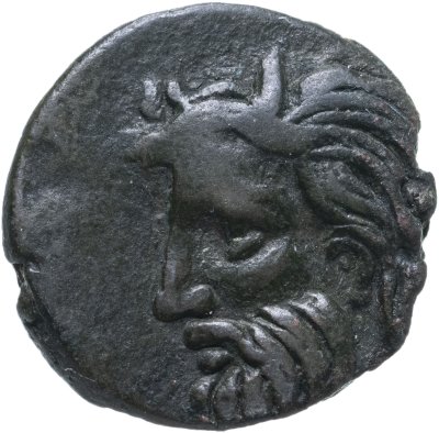 Купить Скифия, Ольвия, 310-280 годы до Р.Х., АЕ23.