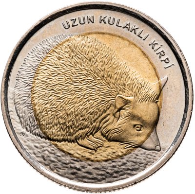 купить Турция 1 лира 2014 "Фауна Турции - Ушастый еж"