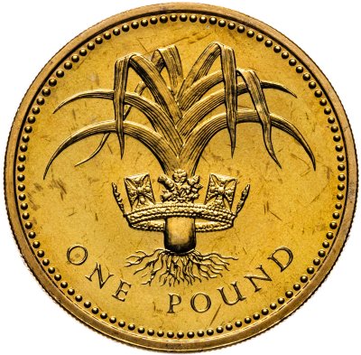 купить Великобритания 1 фунт (pound) 1985