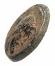 Купить Сирия, Селевкия Пиерийская, 149-6 годы до Р.Х., АЕ23. Adelphoi Demi (The Brother Peoples")