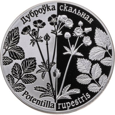 купить Беларусь 1 рубль 2017 "Возрожденные растения - Лапчатка скальная"