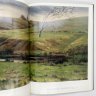 Купить Книга (альбом) "Александр Шилов. Живопись. Графика", Ю. В. Селезнев, в футляре, бумага, печать, Издательство «Изобразительное искусство», СССР, 1982 г.