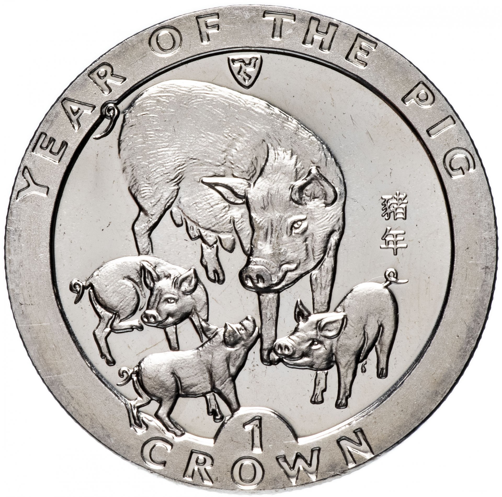 Свинья 1995. Серебряная монета свинья. Монета год свиньи. 1995 Год свиньи. Монета год свиньи Австралия.