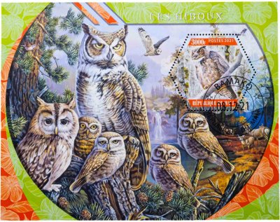 купить Мали марки квартблок "Фауна. Птицы. Совы" 2021
